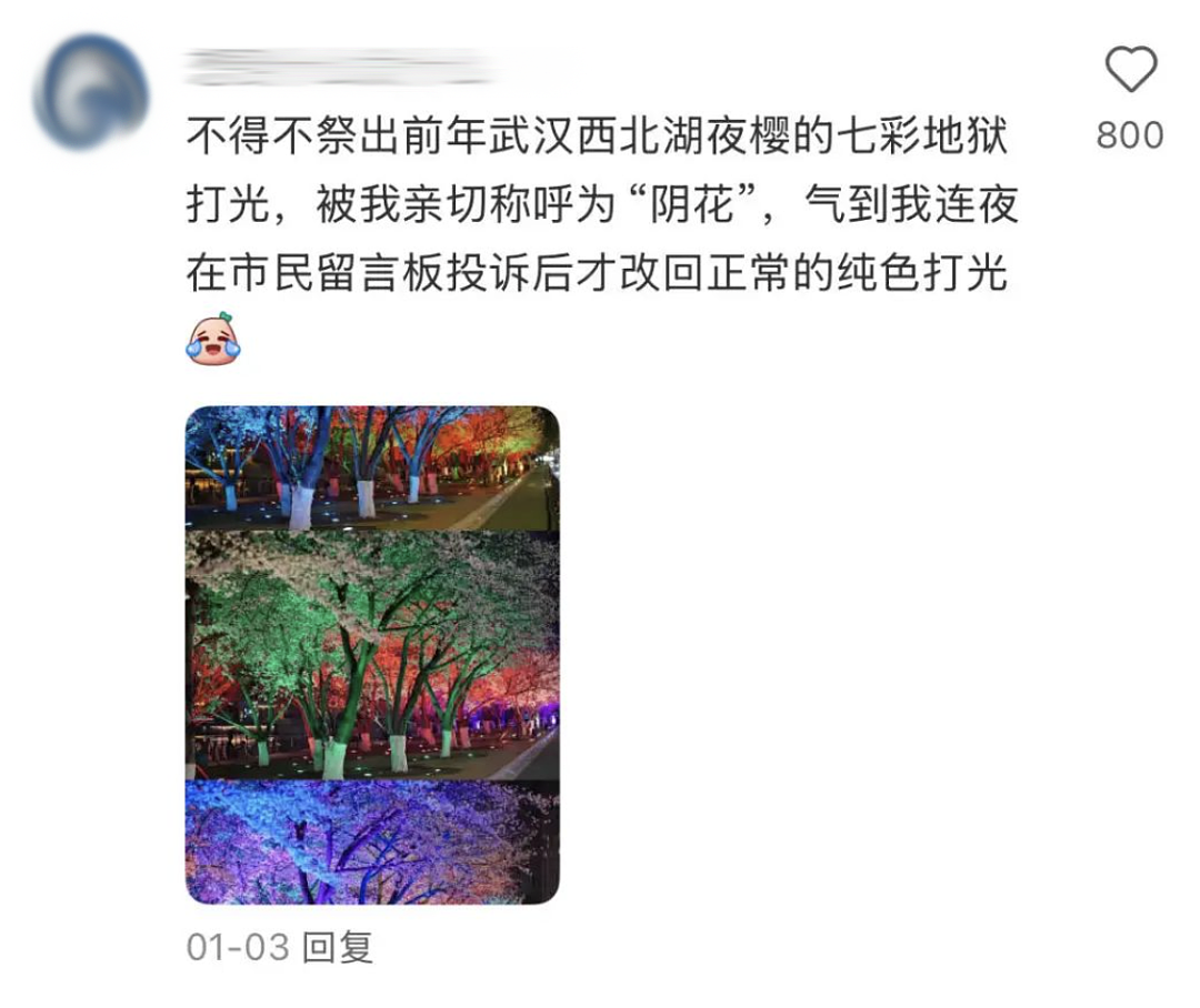 武汉中式审美大桥被改成艳俗KTV还收费?国内景点的夜店风灯光秀看得打工人眼前一黑(组图) - 17