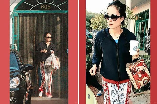 王菲李亚鹏离婚12年：婆媳暗战、天价纠纷与婚姻牢笼（组图） - 166