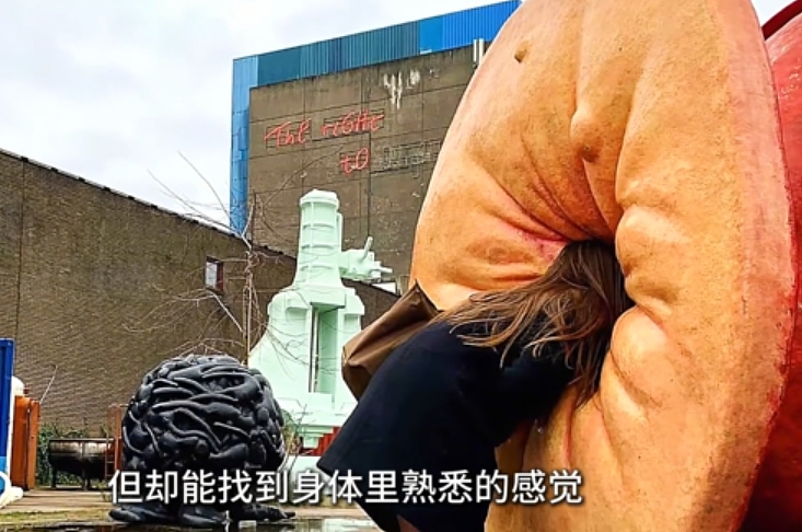 【爆笑】在“肛肠”里住一晚是什么体验？现在的主题酒店这么狂野的吗？我看完沉默了（组图） - 9