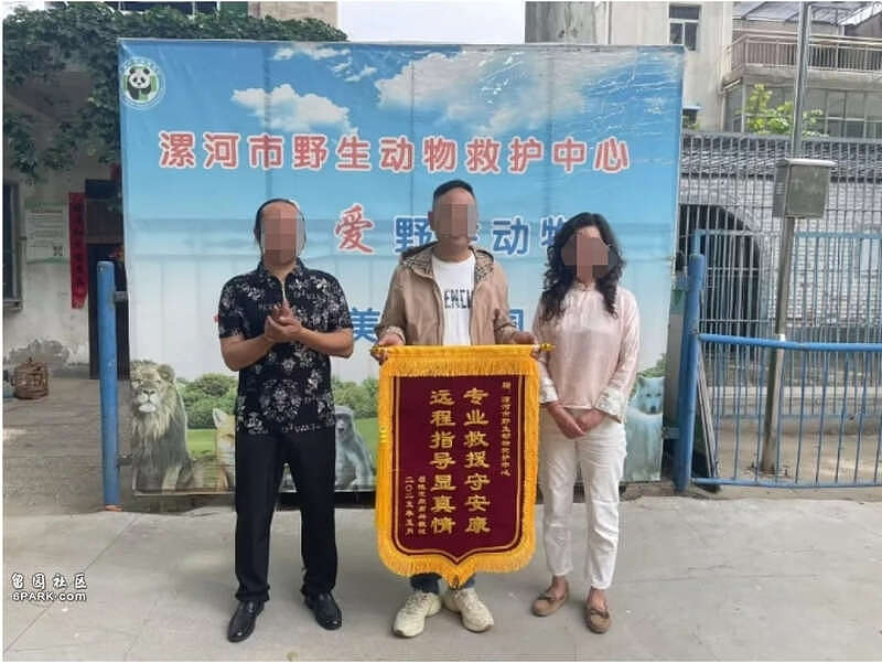 手臂肿2倍！男子被蝮蛇咬伤，全市无适配血清（组图） - 2