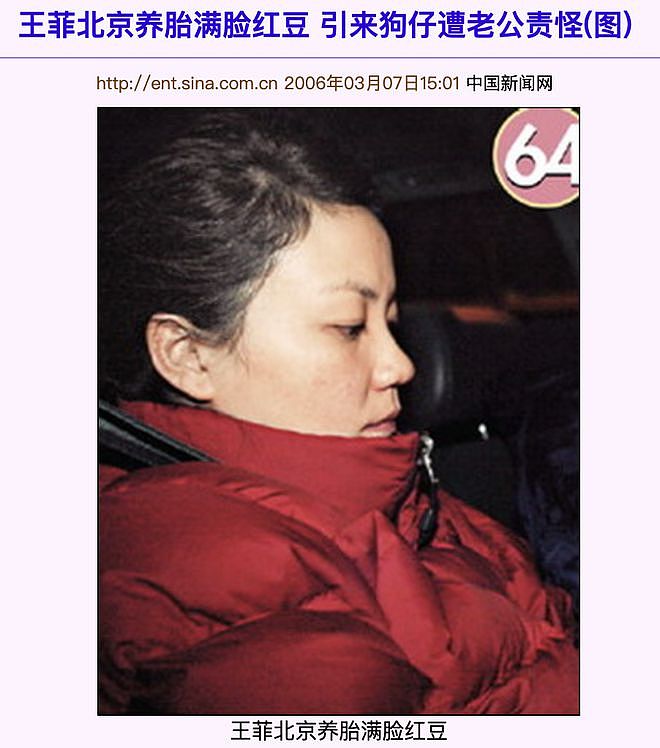 王菲李亚鹏离婚12年：婆媳暗战、天价纠纷与婚姻牢笼（组图） - 89