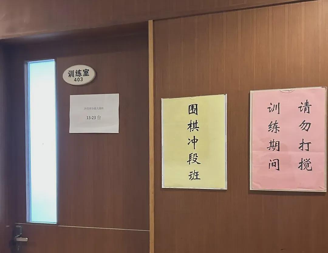 9岁围棋天才朱宏鑫坠亡前的最后一日(组图) - 7