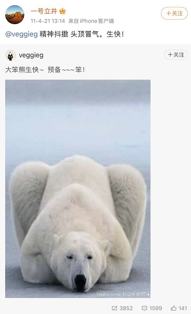 王菲李亚鹏离婚12年：婆媳暗战、天价纠纷与婚姻牢笼（组图） - 119