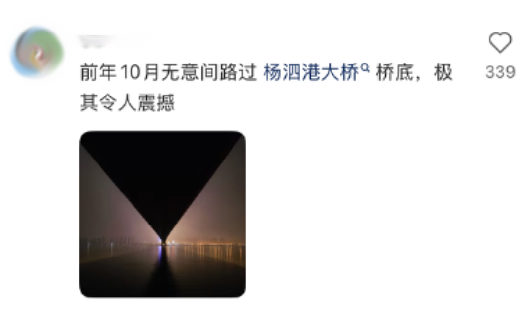 武汉中式审美大桥被改成艳俗KTV还收费?国内景点的夜店风灯光秀看得打工人眼前一黑(组图) - 5