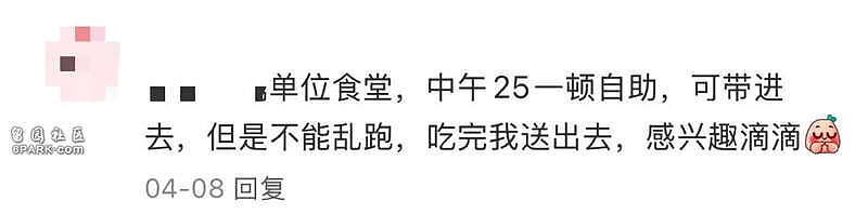 “公司食堂免费又好吃”成现在打工人顶级炫耀(组图) - 11