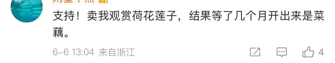 苏超足球赛火出圈！1个省踢出13省PK的感觉，种花人支持全江苏暴打宿迁，竟是因为…（组图） - 13