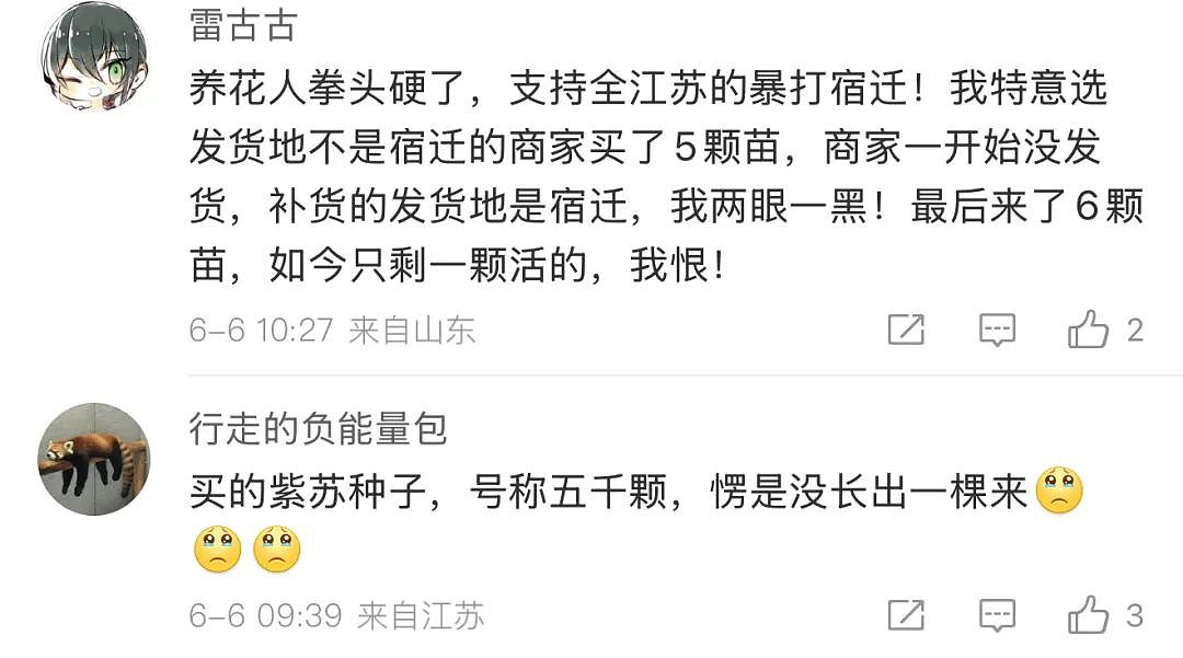 苏超足球赛火出圈！1个省踢出13省PK的感觉，种花人支持全江苏暴打宿迁，竟是因为…（组图） - 15