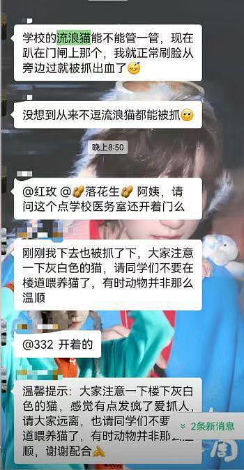 北理工珠海学院保安当众杖毙流浪猫引争议，校方回应：它抓伤多人，安保人员已停职调岗（组图） - 4