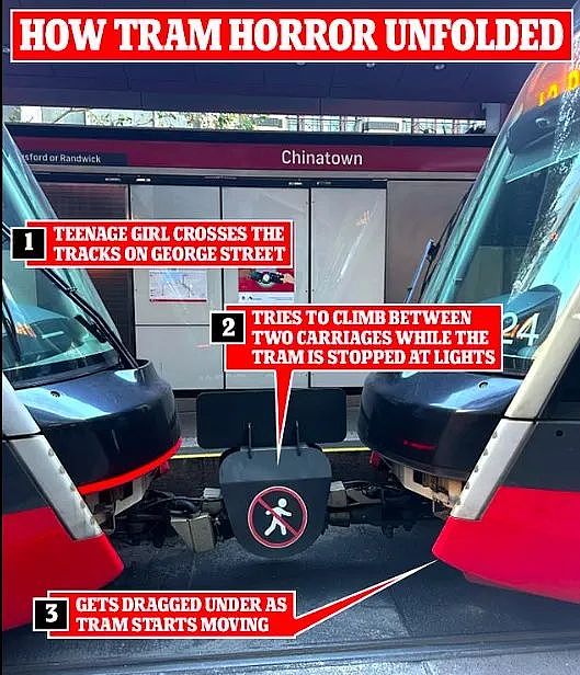 悉尼轻轨又出事,一人不幸遇难!警方紧急提醒:这件事别再做了...(组图) - 18