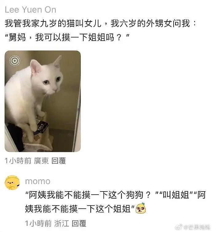 【爆笑】“表情包的出处能有多离谱？”哈哈哈哈哈哈神经病啊（组图） - 58