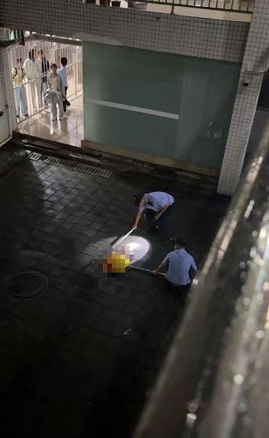 北理工珠海学院保安当众杖毙流浪猫引争议，校方回应：它抓伤多人，安保人员已停职调岗（组图） - 1