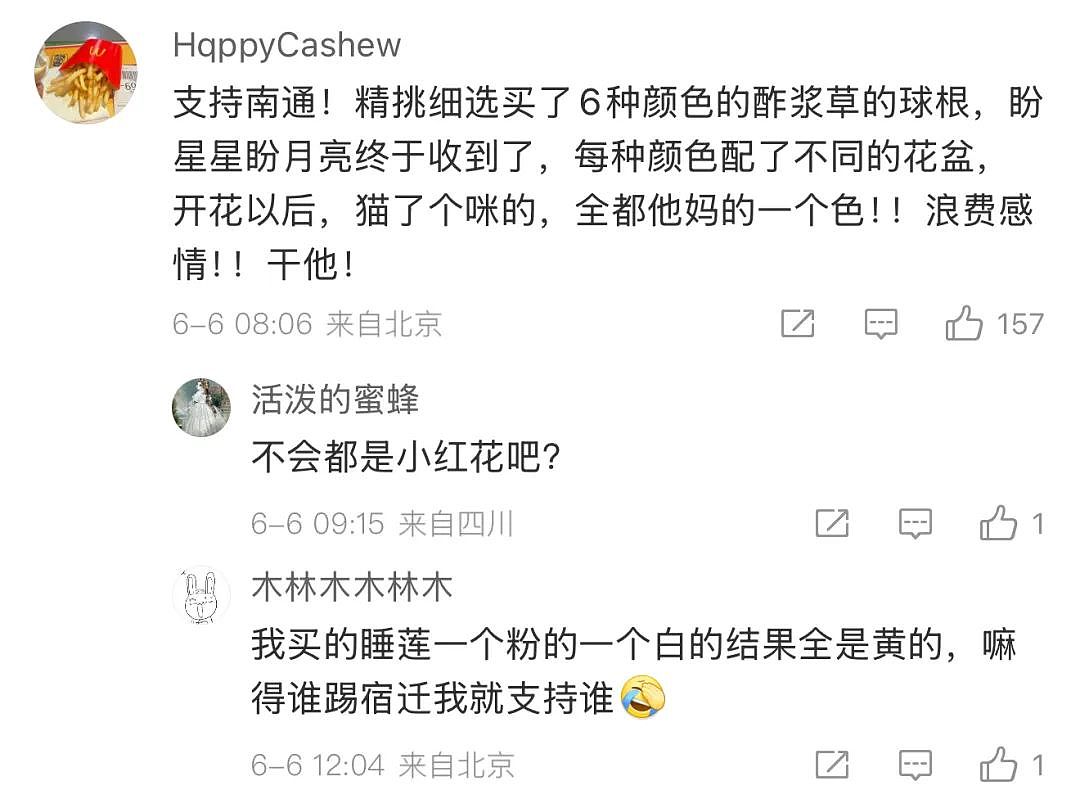 苏超足球赛火出圈！1个省踢出13省PK的感觉，种花人支持全江苏暴打宿迁，竟是因为…（组图） - 16