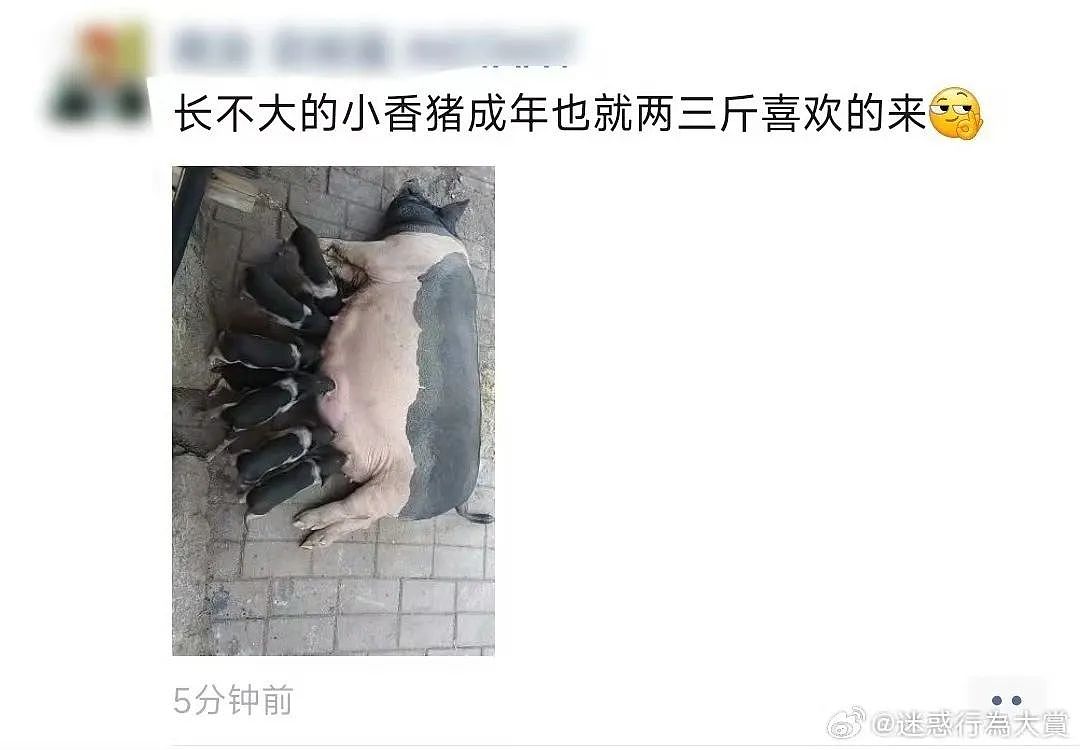 【爆笑】“当物业错把电梯灯换成绿色之后...?”网友夺笋:还拍呢收你来了(组图) - 75