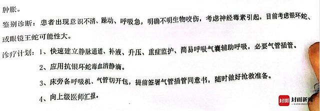 三亚女游客事件抢救记录曝光：判断银环蛇或眼镜王蛇咬伤，用抗银环蛇毒血清抢救（组图） - 2