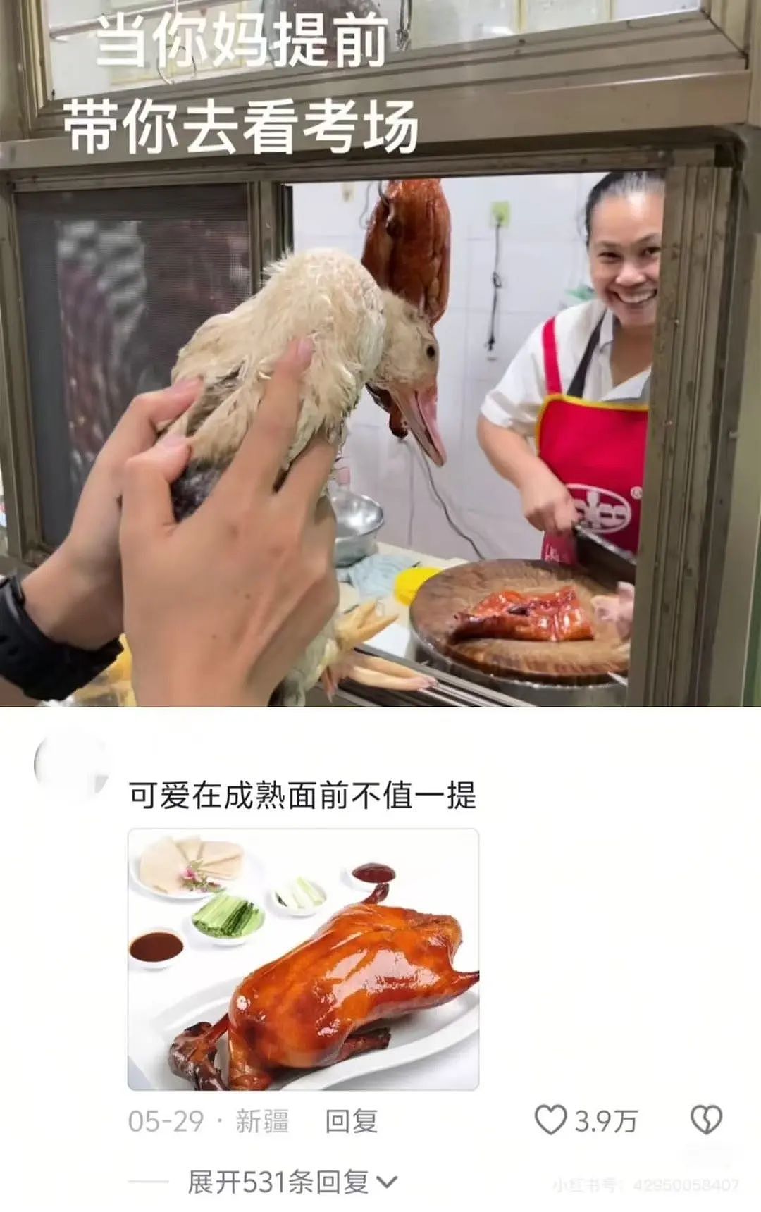 【爆笑】“当物业错把电梯灯换成绿色之后...?”网友夺笋:还拍呢收你来了(组图) - 56