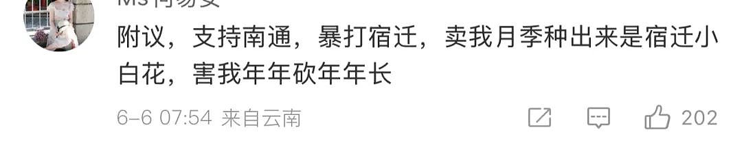 苏超足球赛火出圈！1个省踢出13省PK的感觉，种花人支持全江苏暴打宿迁，竟是因为…（组图） - 11