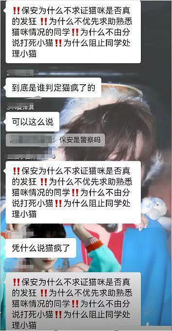 北理工珠海学院保安当众杖毙流浪猫引争议，校方回应：它抓伤多人，安保人员已停职调岗（组图） - 2