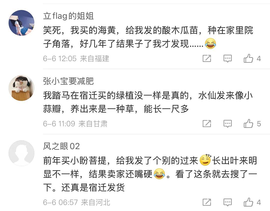 苏超足球赛火出圈！1个省踢出13省PK的感觉，种花人支持全江苏暴打宿迁，竟是因为…（组图） - 21