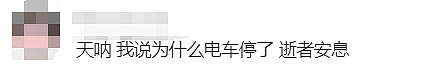 悉尼轻轨又出事,一人不幸遇难!警方紧急提醒:这件事别再做了...(组图) - 25