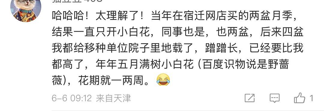苏超足球赛火出圈！1个省踢出13省PK的感觉，种花人支持全江苏暴打宿迁，竟是因为…（组图） - 20