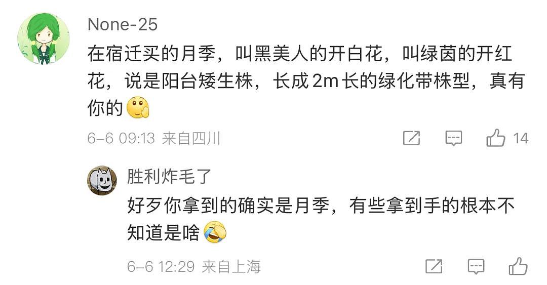 苏超足球赛火出圈！1个省踢出13省PK的感觉，种花人支持全江苏暴打宿迁，竟是因为…（组图） - 22