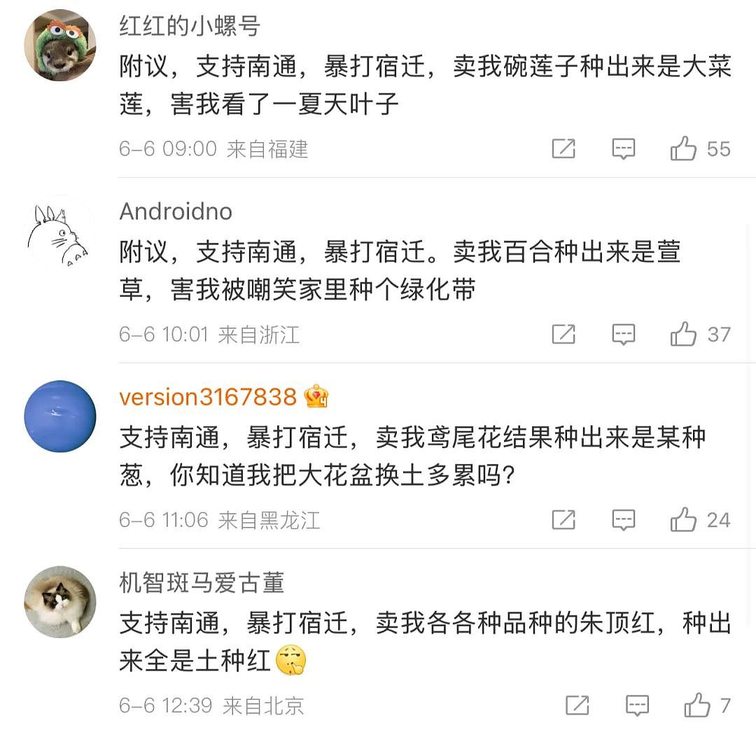 苏超足球赛火出圈！1个省踢出13省PK的感觉，种花人支持全江苏暴打宿迁，竟是因为…（组图） - 10