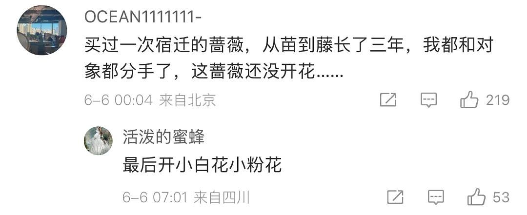 苏超足球赛火出圈！1个省踢出13省PK的感觉，种花人支持全江苏暴打宿迁，竟是因为…（组图） - 24