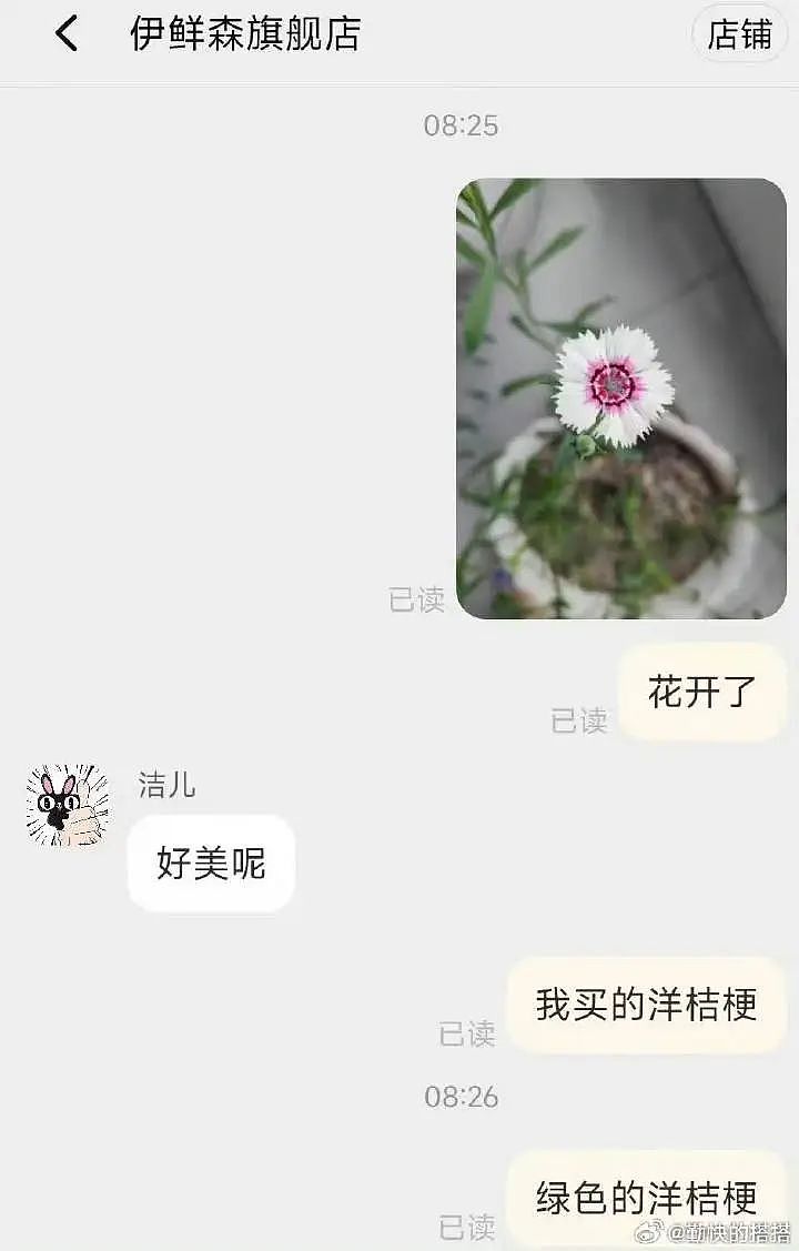 苏超足球赛火出圈！1个省踢出13省PK的感觉，种花人支持全江苏暴打宿迁，竟是因为…（组图） - 27