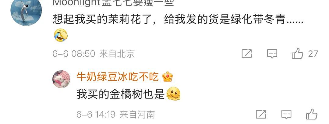 苏超足球赛火出圈！1个省踢出13省PK的感觉，种花人支持全江苏暴打宿迁，竟是因为…（组图） - 19