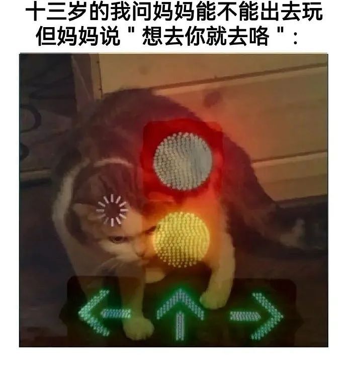 【爆笑】“表情包的出处能有多离谱？”哈哈哈哈哈哈神经病啊（组图） - 14