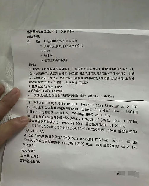 新加坡女幼师三亚旅游疑遭蛇咬身亡，亲属直播回应网友疑问，最新细节曝光（组图） - 3