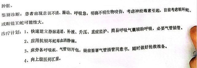 女子在三亚被不明生物咬伤身亡，家属不赞成尸检：死因很明确，不想再破坏遗体（组图） - 6