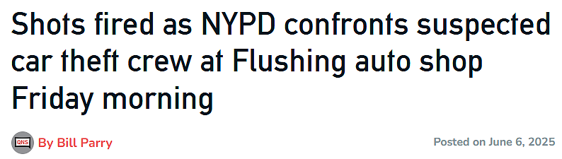 惊险如电影！华人车行遭十多人快闪抢劫，警方开枪拦截宝马（组图） - 1
