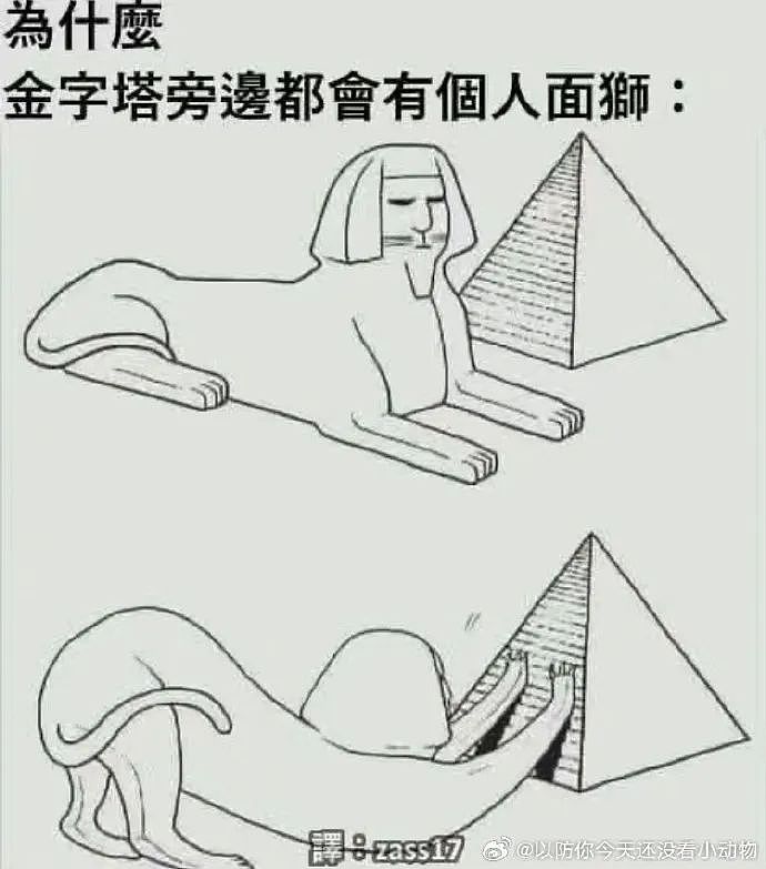 【爆笑】“表情包的出处能有多离谱？？”哈哈哈哈哈哈神经病啊！（组图） - 67