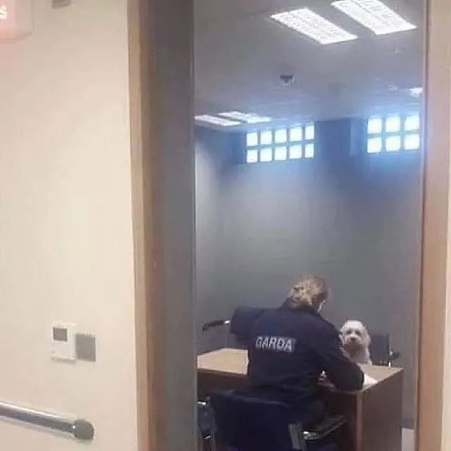 【爆笑】“网友:哪来的古风老娘啊!” 哈哈哈哈哈被网友评论笑晕过去(组图) - 54