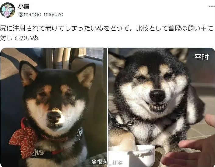 【爆笑】“网友:哪来的古风老娘啊!” 哈哈哈哈哈被网友评论笑晕过去(组图) - 82