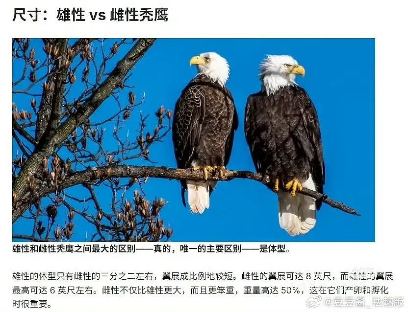【爆笑】“网友:哪来的古风老娘啊!” 哈哈哈哈哈被网友评论笑晕过去(组图) - 29