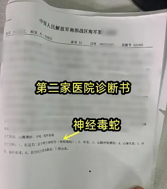 真相大白！27岁女游客被蛇咬死：监控查明，家属误导，医生含冤（组图） - 3
