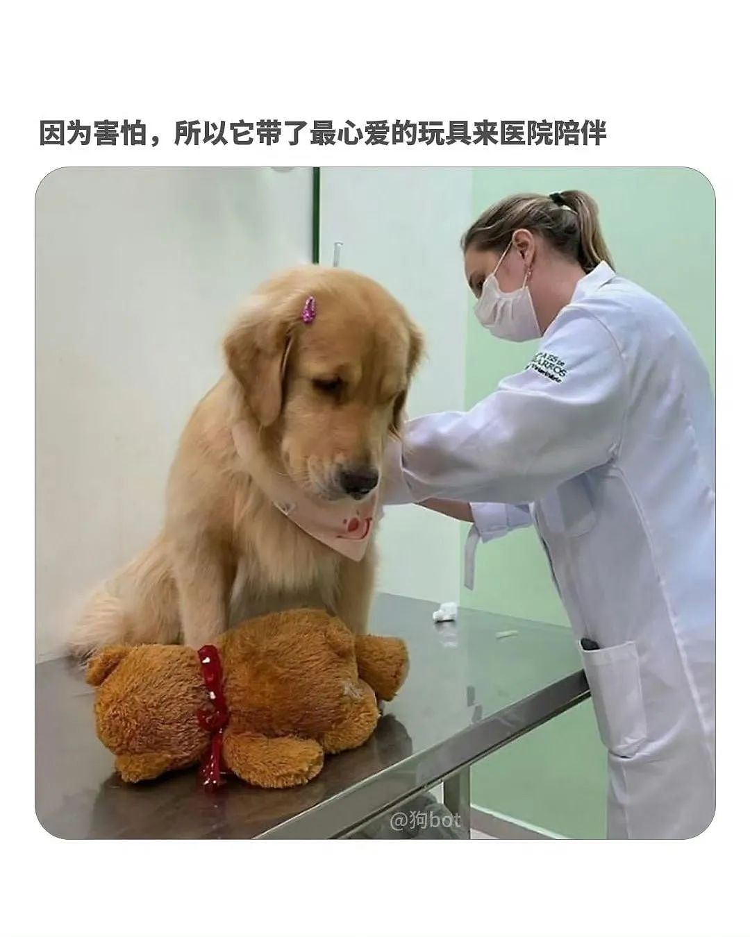 【爆笑】“网友:哪来的古风老娘啊!” 哈哈哈哈哈被网友评论笑晕过去(组图) - 41