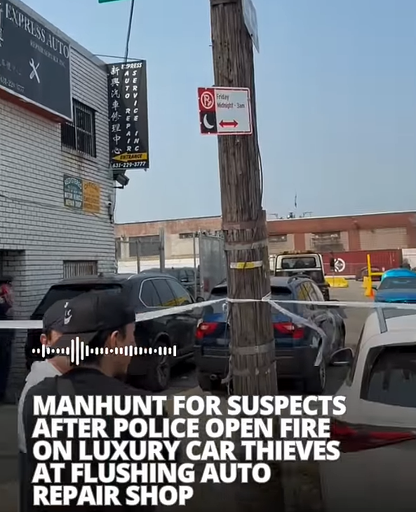 惊险如电影！华人车行遭十多人快闪抢劫，警方开枪拦截宝马（组图） - 8