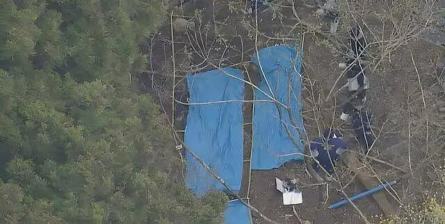 华裔夫妇在日本遇害,遗骸呈十字交叠状,知名男童星涉案遭警方逮捕(组图) - 4