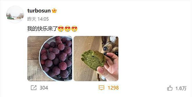 “移民风波”发酵4天后孙俪终于发文，验证了郭德纲说的话（组图） - 7