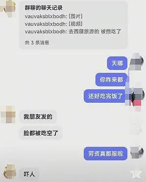 网传男子西藏自驾被熊吃掉！视频画面惨烈，知情人：脸都被吃掉了（组图） - 6