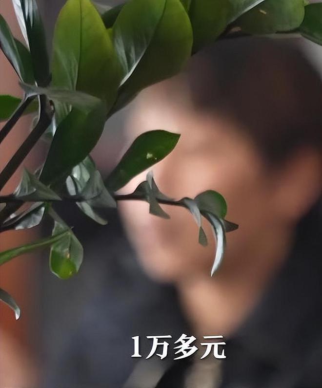 又一考场作弊曝光，8000买四科满分，牵出完整产业链，真不简单（组图） - 12