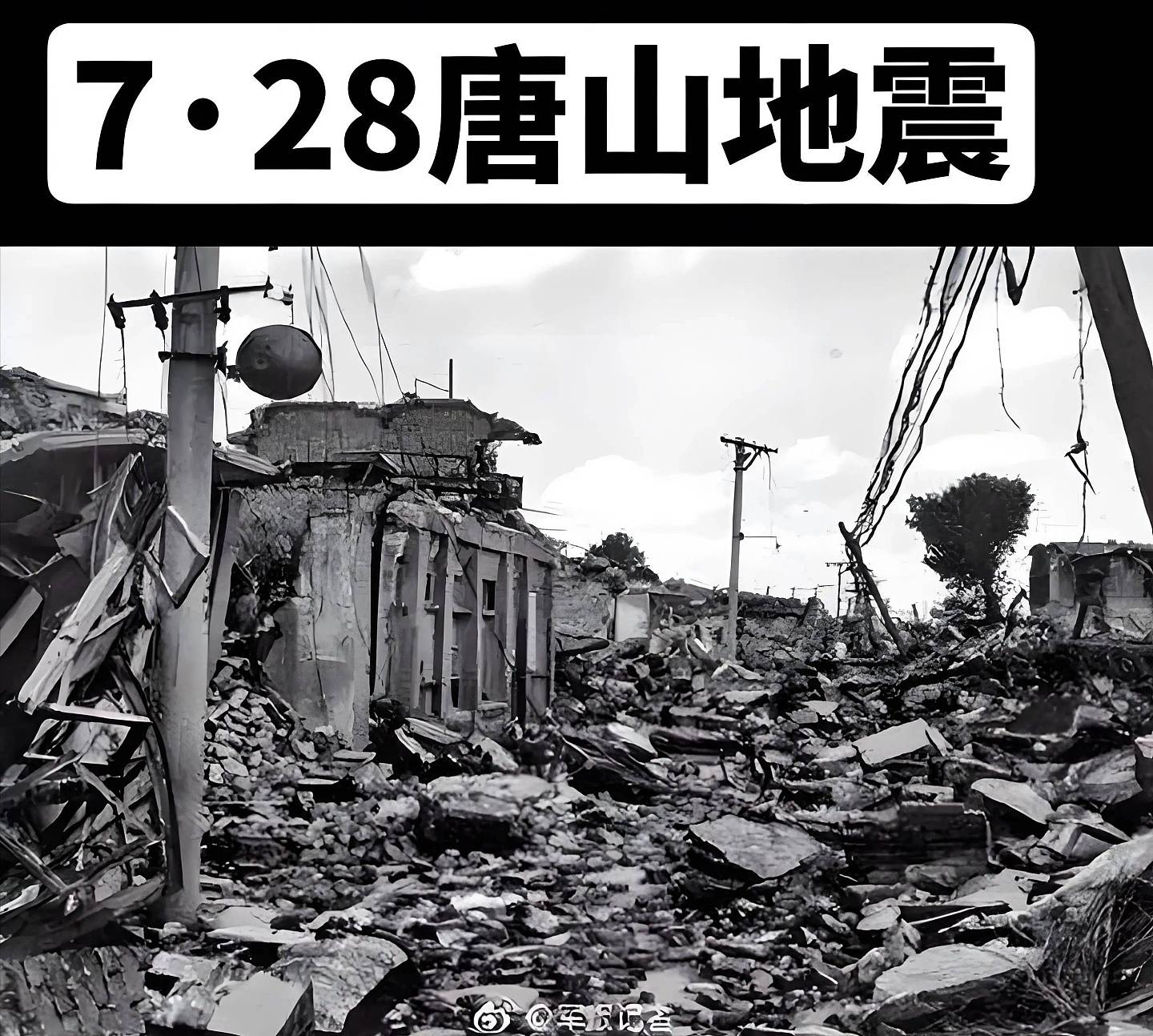 张兰：父母离异后各自再婚，她撮合父母重逢...（组图） - 13