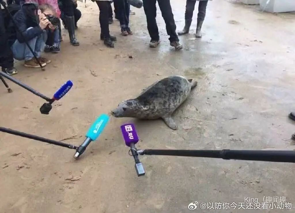 【爆笑】“高考最大的受益者出现了…？”网友笑疯：哈哈哈这是来进货了吗（组图） - 92