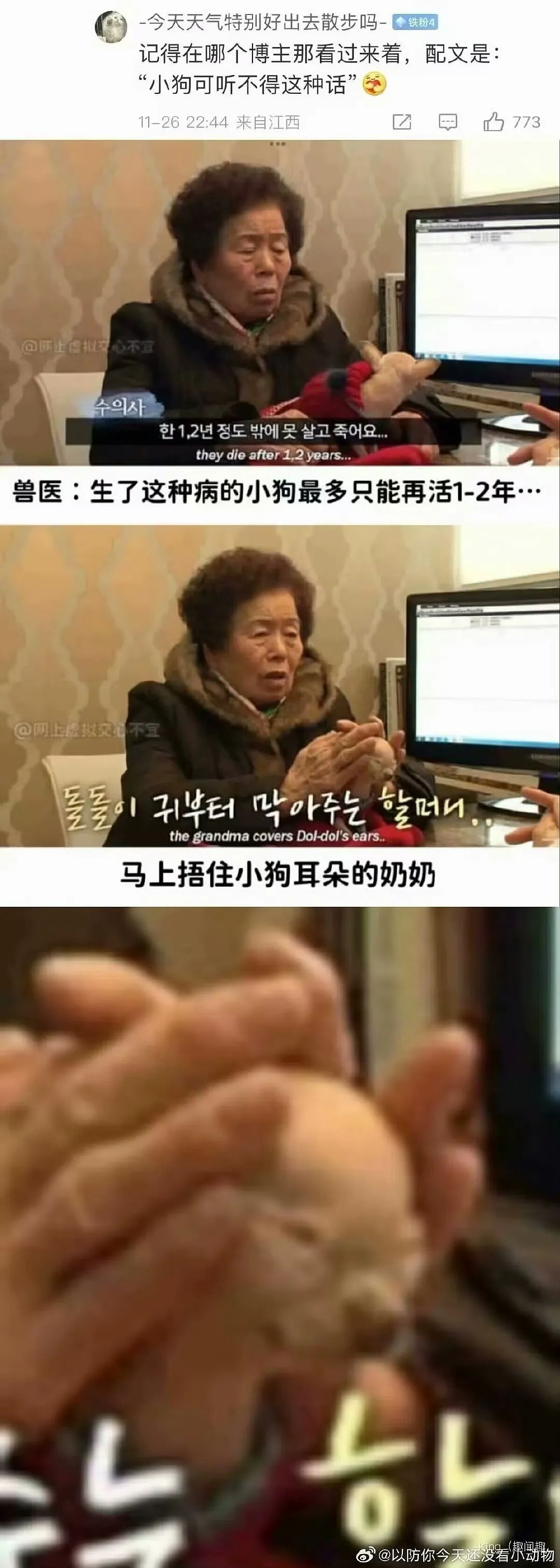 【爆笑】“高考最大的受益者出现了…？”网友笑疯：哈哈哈这是来进货了吗（组图） - 88