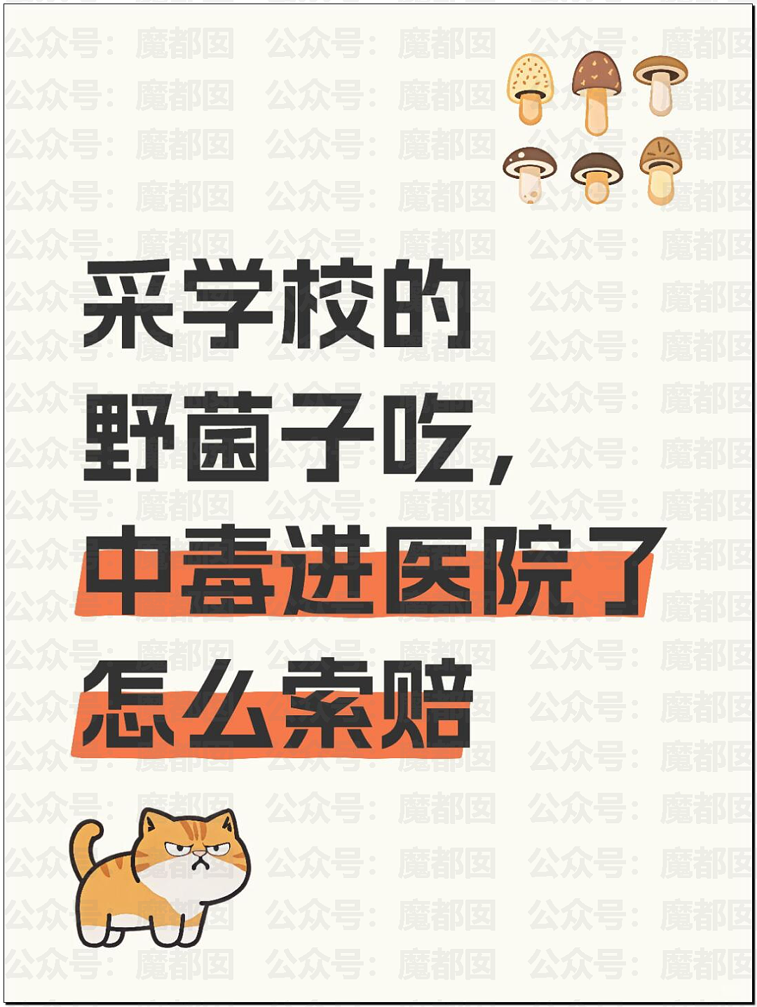 震撼!小仙女自曝在校园采食毒蘑菇中毒,送医后向校方索赔成功(组图) - 32