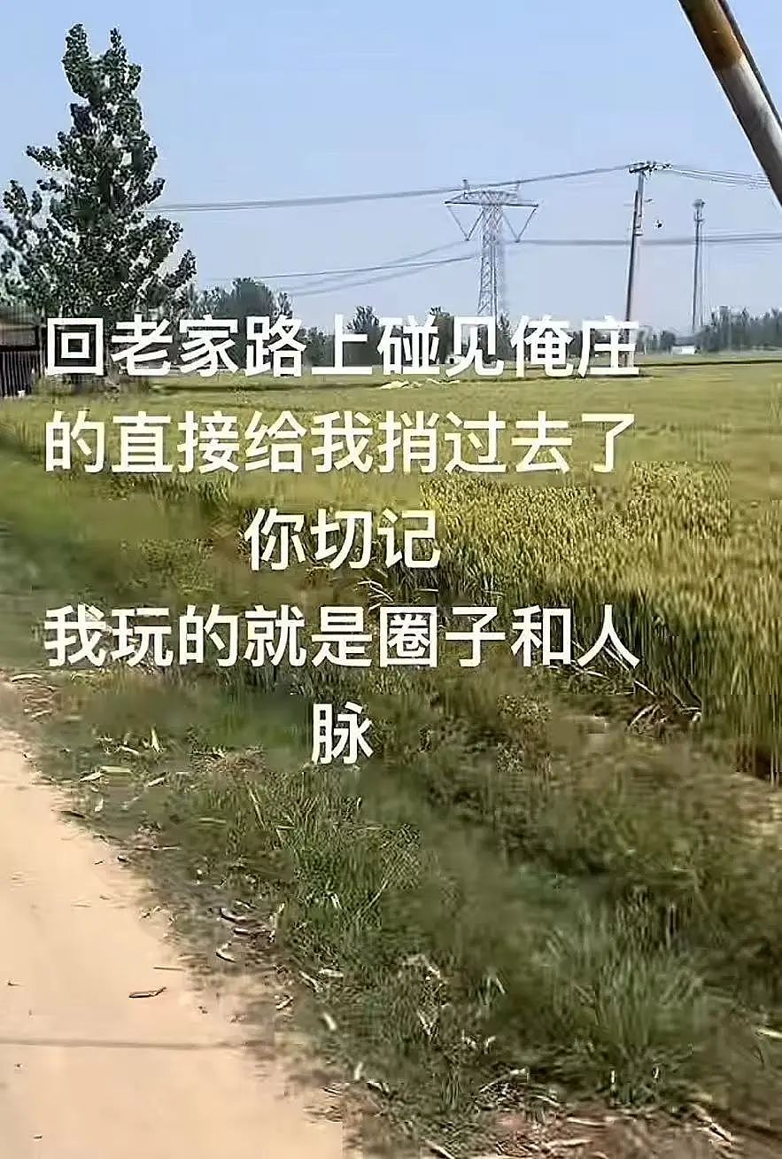 【爆笑】“高考最大的受益者出现了…？”网友笑疯：哈哈哈这是来进货了吗（组图） - 42