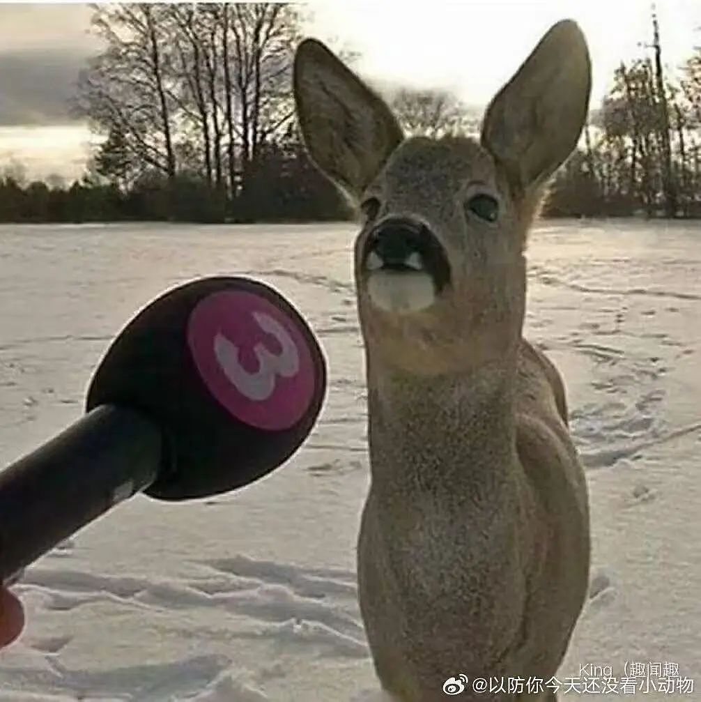 【爆笑】“高考最大的受益者出现了…？”网友笑疯：哈哈哈这是来进货了吗（组图） - 91